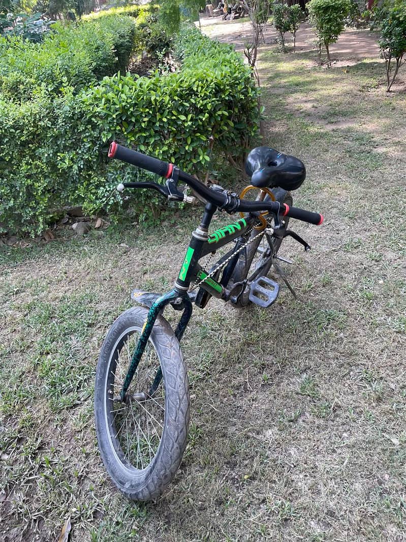 cycle 2