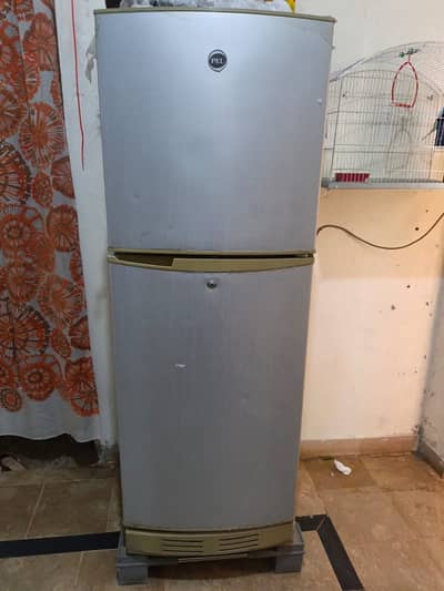 PEL Medium Size Double Door Fridge for Sale