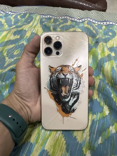 Ipjone 12 pro max best offer