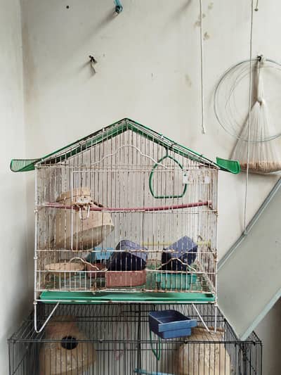 cage for sale pinjray