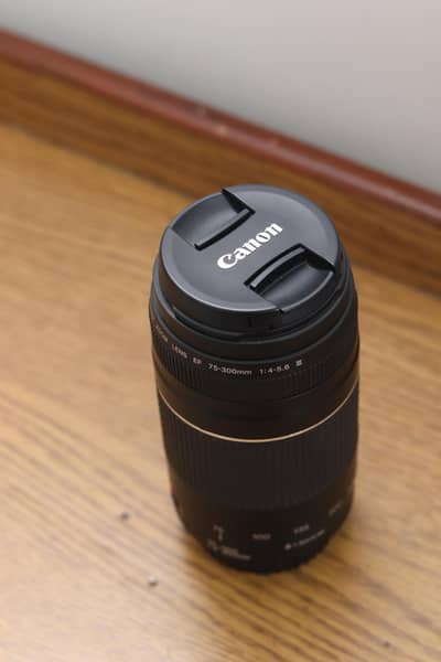 cannon 75-300 MM lens