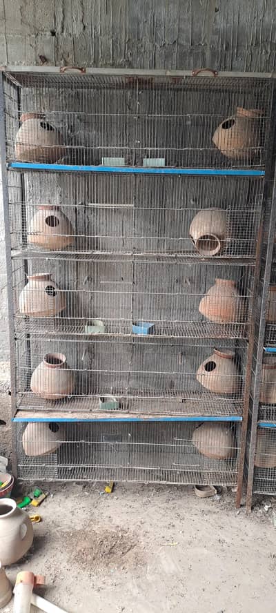 Used Cages for sale