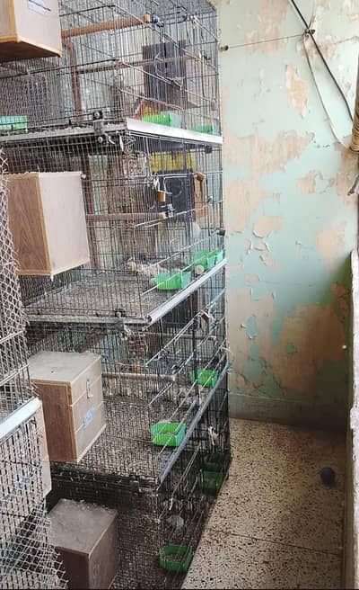 master folding cage 1.5 by  2