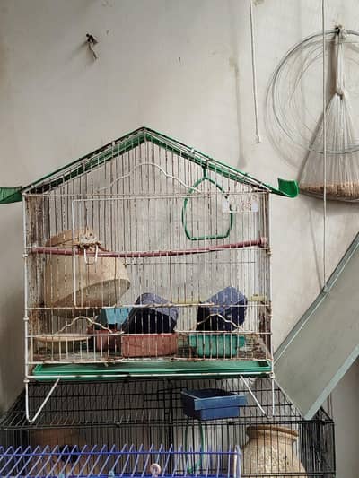 cage for sale pinjray