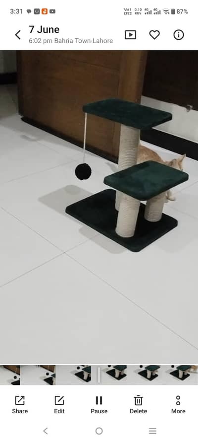 Cat Scratcher