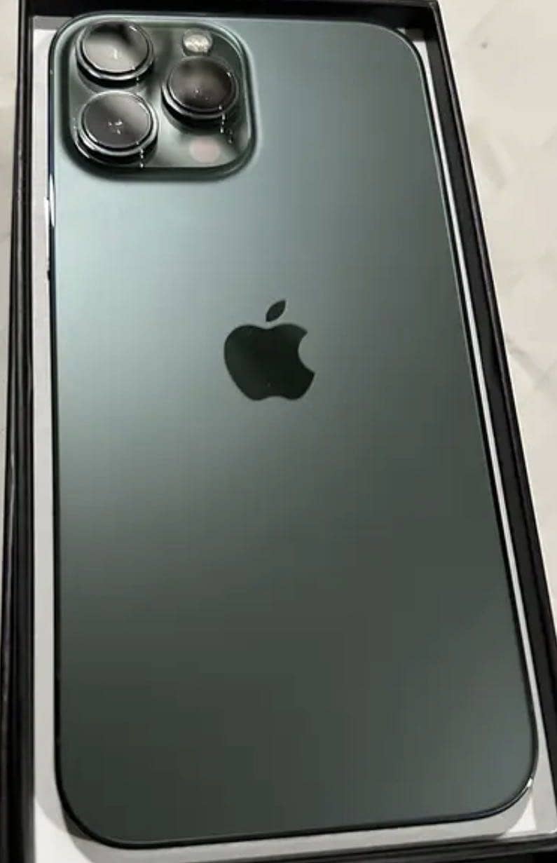 Apple iPhone 13 Pro Max 1