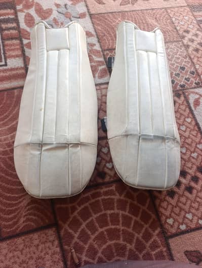 wicket keeper pads