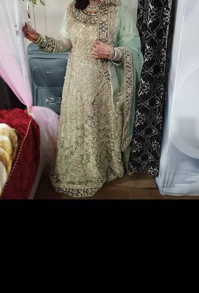 Maxy for Walima