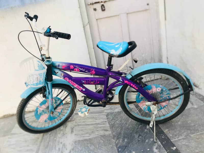 Bicycle  1