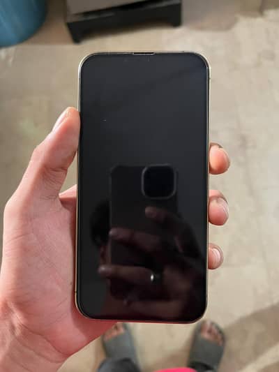 Apple iPhone 13 Pro