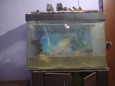 aquarium