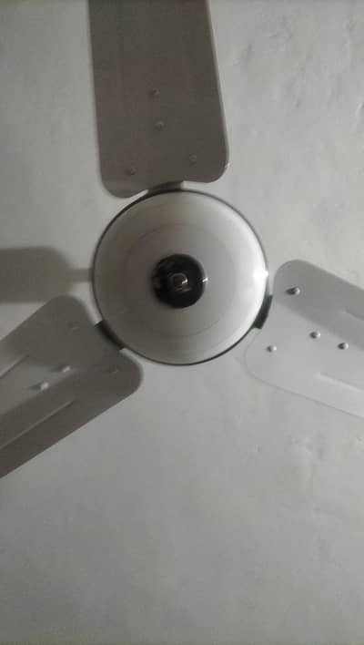 Ceiling fan for sell