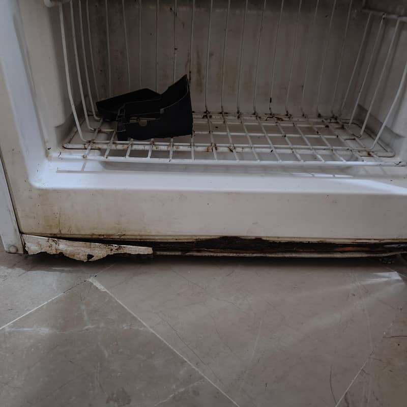 only freezer 2
