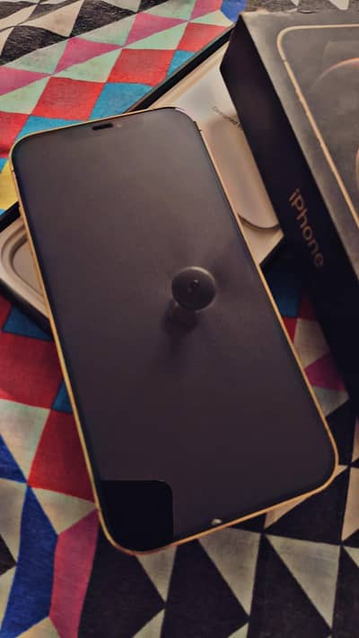 Apple iPhone 12 Pro Max