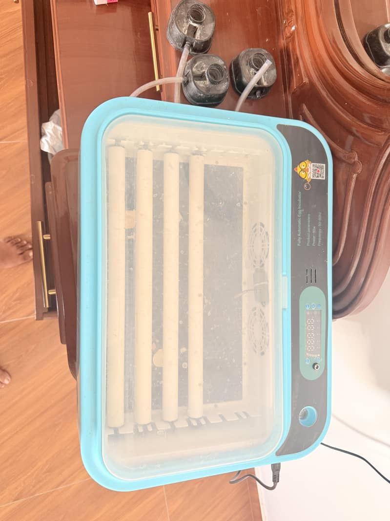 Incubator 0