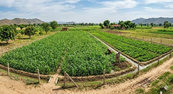 9.5 Kanal Residential Plot For Sale