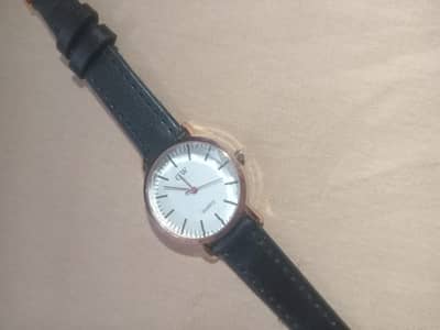 the expensive original DW (daniel Wellington) orignal watch
