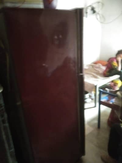 pel fridge 03299121614