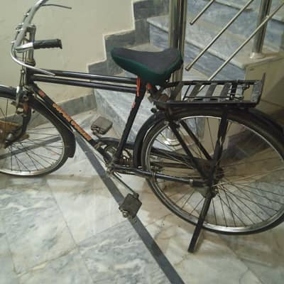 Sohrab Cycle 20"