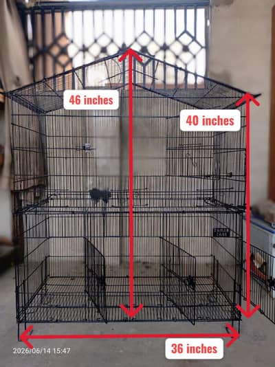 Complete breeding setup  for sale