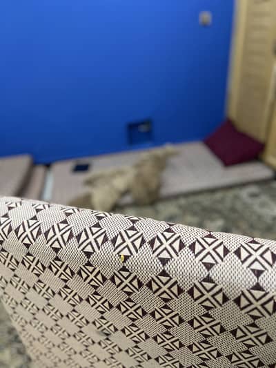 Single bed mattress with cover.