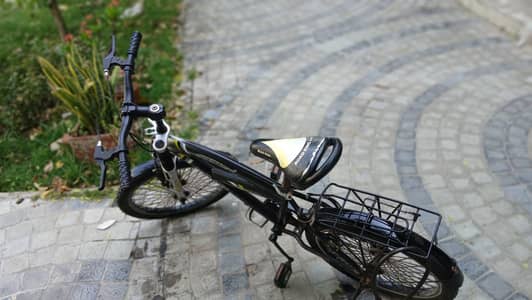 Cycle (Road King) 31 inches-26 inches. Great Condition