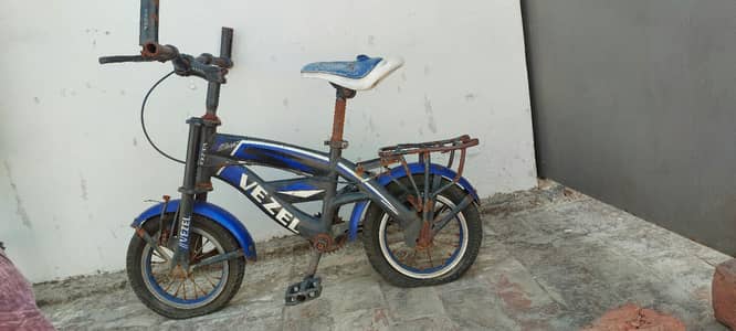 Vezel 12 size Try Cycle