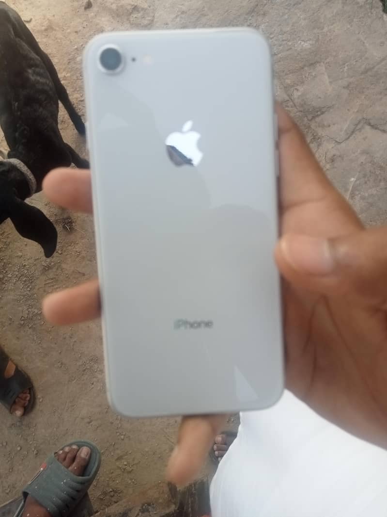 Apple iPhone 8 1