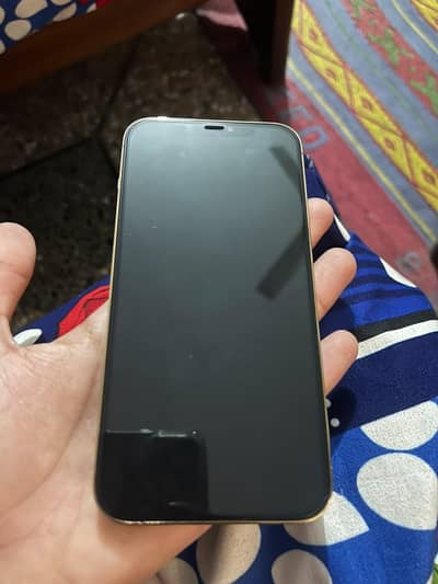 Apple iPhone 12 Pro Max jv