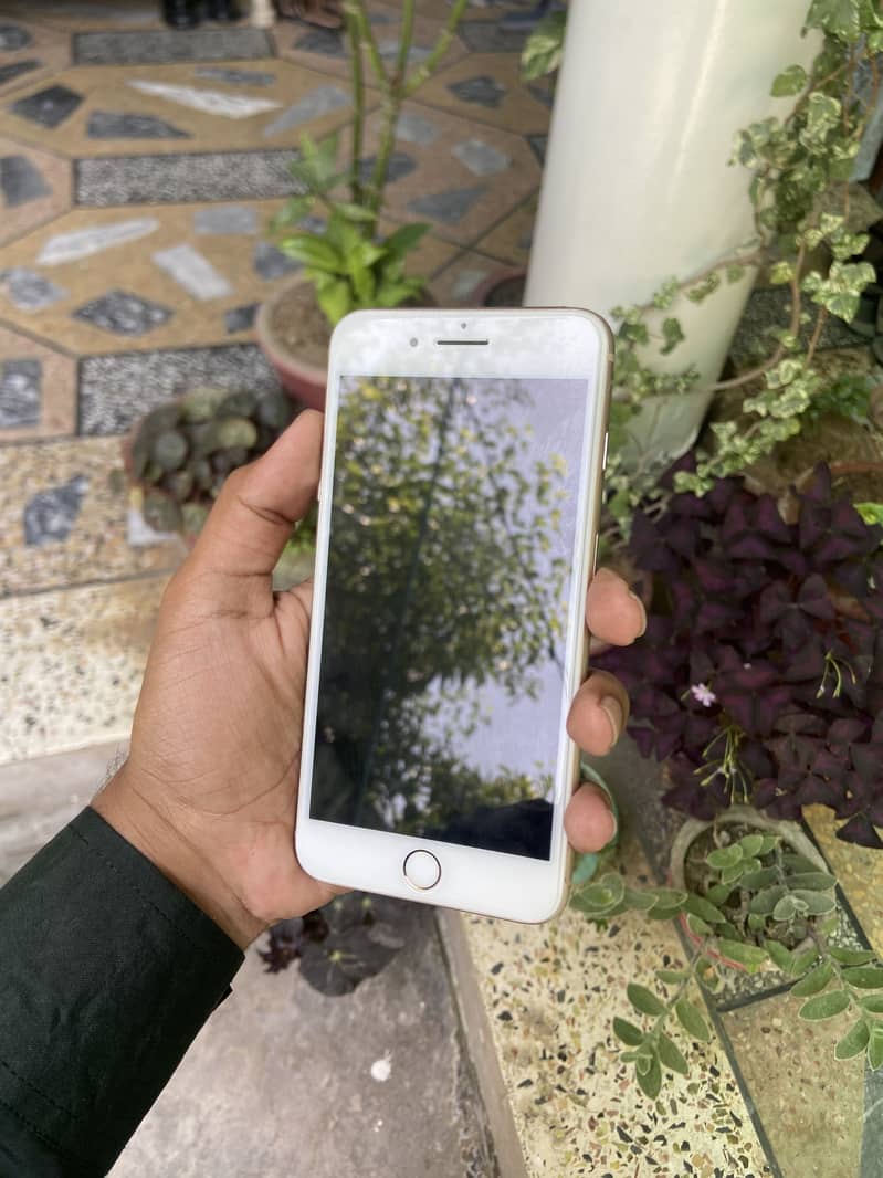 Iphone 8 plus PTA 1