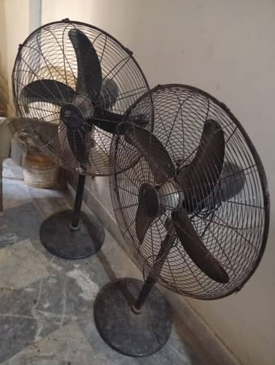 2 pedestal fans