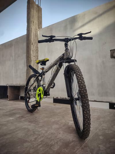 Brand New 24" Custom MTB – Dual Disc Brakes & Saiguan Gears