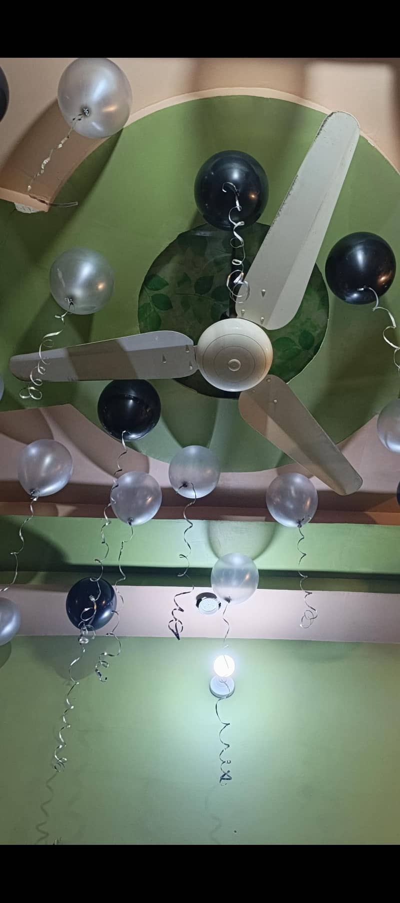 Ceiling fan 0