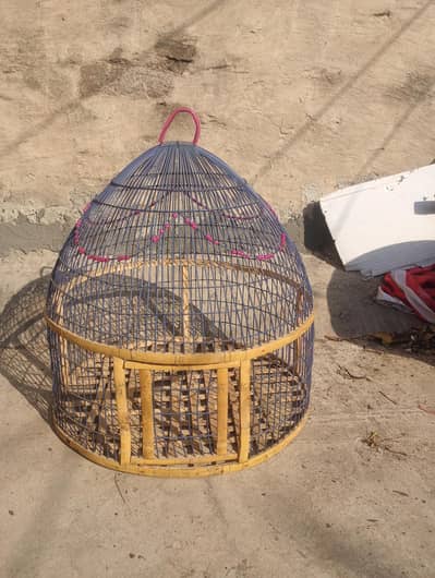 cage of teeter