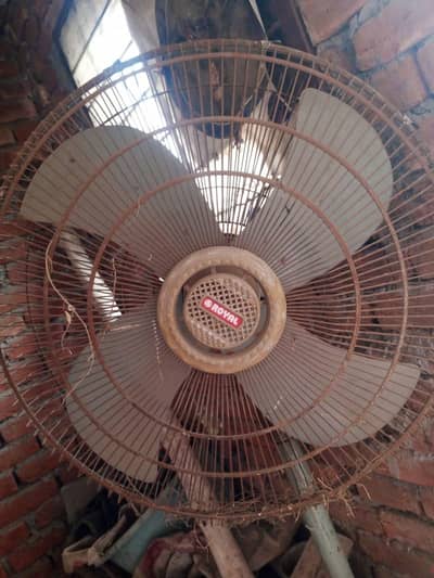 sell pedestal fan