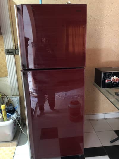 Orient full size Refrigerator with glass door