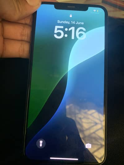 Apple iPhone 11 Pro Max Back Crack