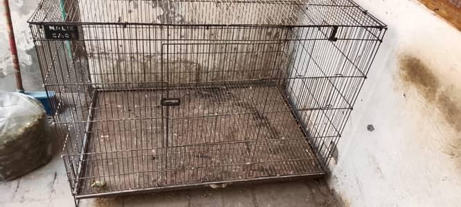 foldable pinjre and parrot for sale