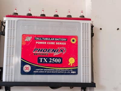 phoenix tx 2500 tall tubler