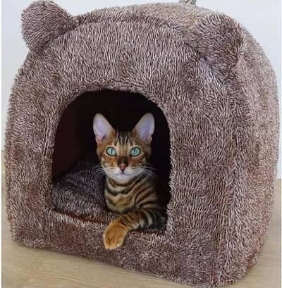 Imported  Pet House