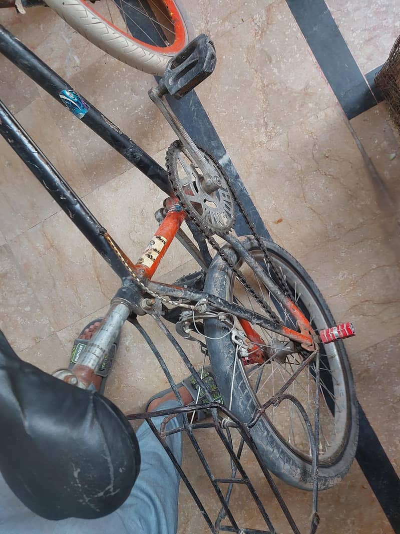 By Cycle 4