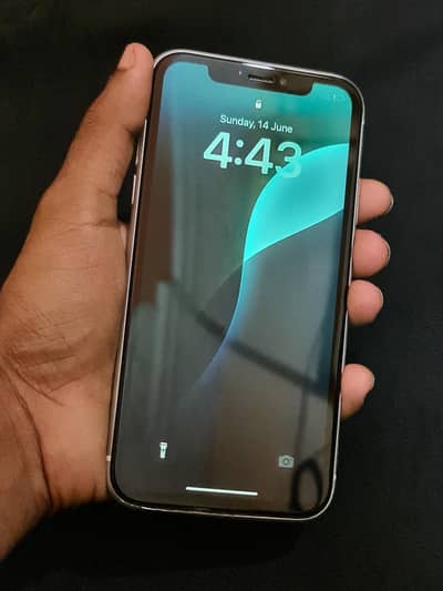 Apple iPhone XR