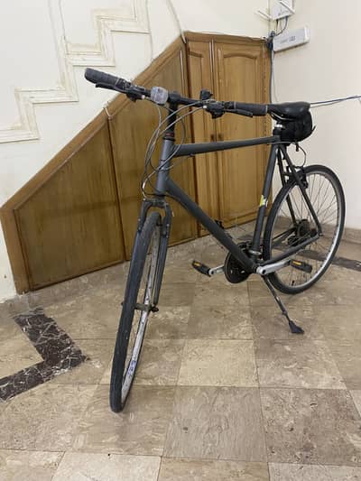 Bicycle Ridgeback Motion 2022