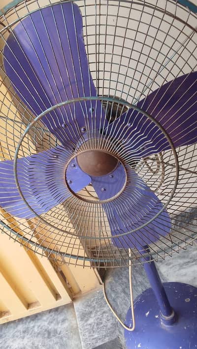Pedestal Fan for Sale