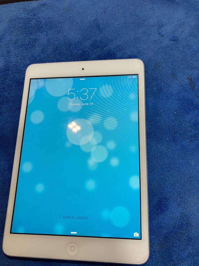 Apple iPadmini 5 1