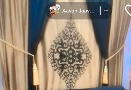 curtain 5 pecies