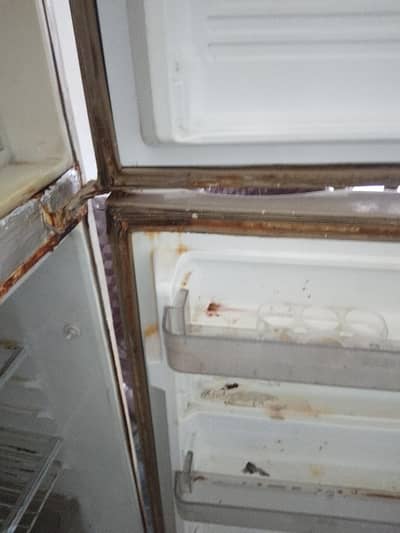 dawlince refrigerator