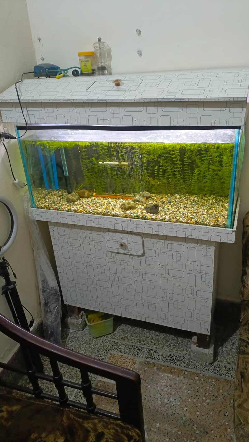 complete Setup 1