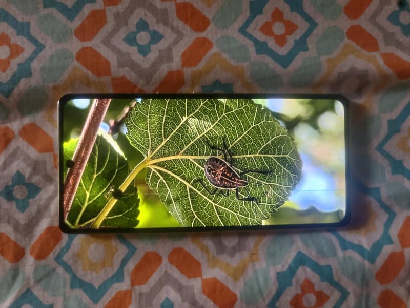 Google Pixel 7 Pro 0