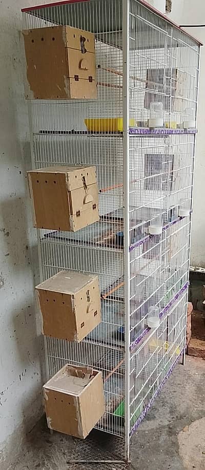 cage for sale with free murgiyan